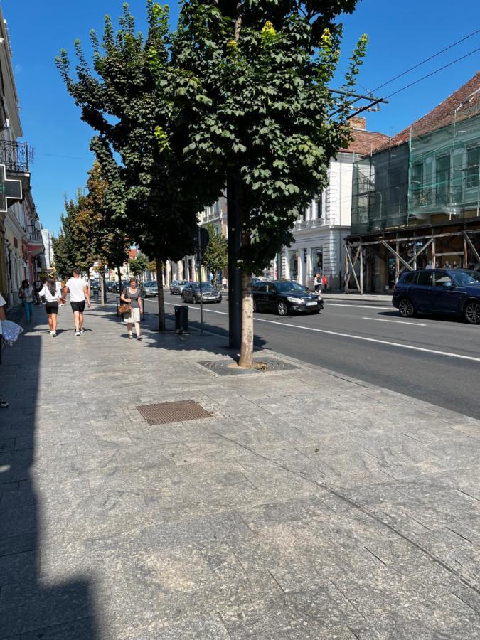 Ndl Downtown Clujアパートホテル エクステリア 写真